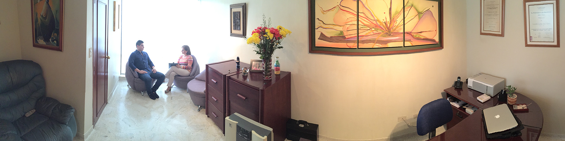 Consulta Psicológica Online | SERVICIOS | Dra. Claudia Rico - Psicóloga ...